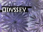 odyssey profile picture