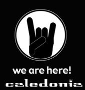 Caledonia Lounge profile picture