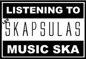 les SKAPSULAS profile picture