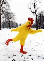 Winter Chicken profile picture