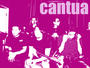 Cantua profile picture