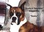 WA BOXER RESCUE â™¥ profile picture