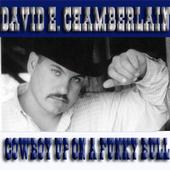 David E. Chamberlain profile picture