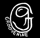 groovenine profile picture