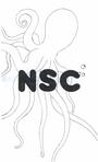 NSC Productions profile picture