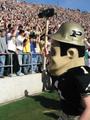 Purdue Pete profile picture