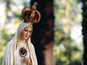 Our Lady of Fatima profile picture