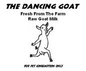 thedancinggoat