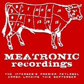 Meatronic Recordings profile picture