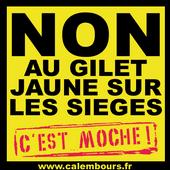 Gilet Jaune profile picture