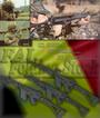 Airsoft Options profile picture