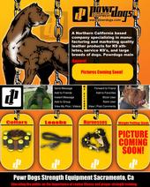 PowrDogs- K9 Strength Equipment profile picture