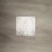 Greylevel profile picture