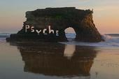 Psyche Community profile picture