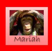 Mariah profile picture