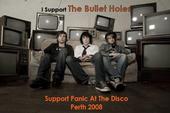 Bullet Holes - Help Us Support Panic! At The Disco profile picture