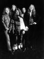 Big Brother & The Holding Company profile picture