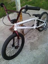 X-Renae-X Ride BMX profile picture