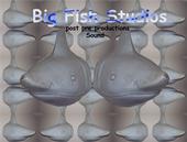 BIG FISH SOUND profile picture