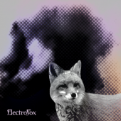 Electro fox profile picture