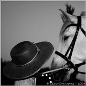 Le Don Quichotte profile picture