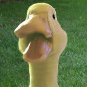 runnerduck