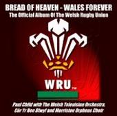 Wales In Union profile picture