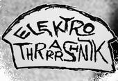 Elektro Thrashnik profile picture