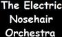 the electric nosehair orchestra profile picture