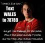 Wales In Union profile picture