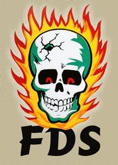 Flaming Death Skull profile picture