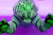 Neon Tigers profile picture