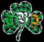 The Bleeding Irish profile picture