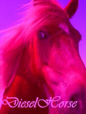 DieselHorse profile picture