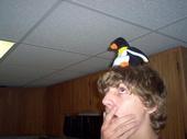 Micah IsConfuzzedByThePenguinPearchdOnHisHead profile picture