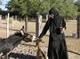 Sisters of St. Paisius Monastery profile picture