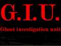 Ghost investigation unit profile picture