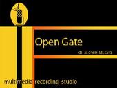 Open Gate Studio profile picture