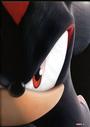 Shadow the Hedgehogâ„¢ profile picture