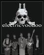 Electric Voodoo profile picture