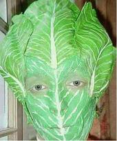 Lettucehead profile picture