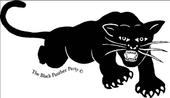 The Black Panther Party profile picture