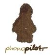 phonopilot. profile picture