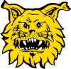 ILVES profile picture