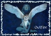 Owlfire profile picture