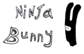 Ninja Bunny profile picture