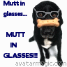 Mutt (Muttskie) profile picture