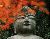 Big Happy Buddha profile picture