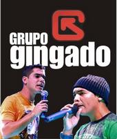 GRUPO GINGADO profile picture