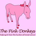 The Pink Donkeys of Poultney, VT profile picture